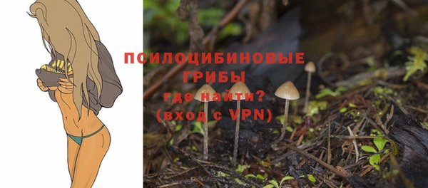 спайс Алексин