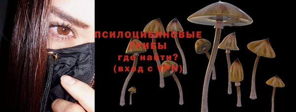 не бодяженный Абаза