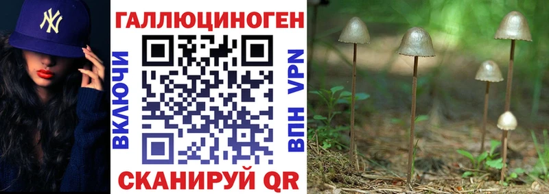 Псилоцибиновые грибы MAGIC MUSHROOMS  Ялта 