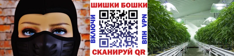 купить   Ялта  Марихуана SATIVA & INDICA 